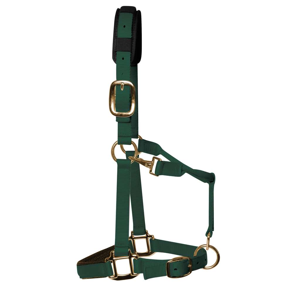 KM Elite Padded Headcollar #colour_hunter-green