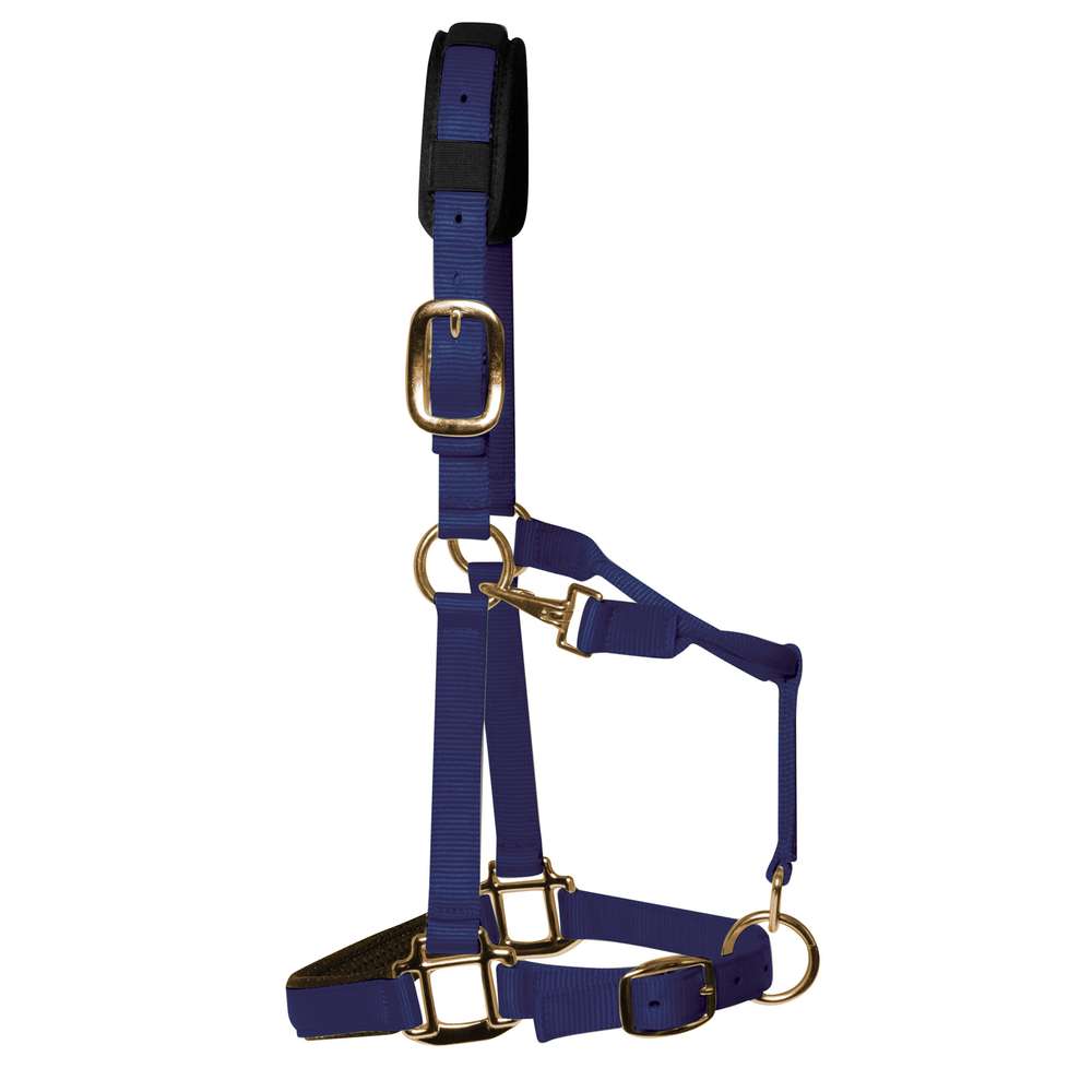 KM Elite Padded Headcollar #colour_navy