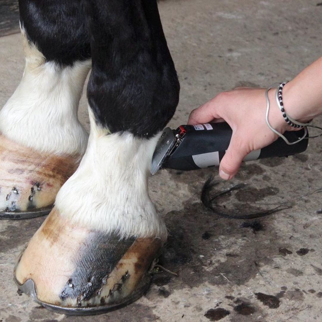 Liveryman Harmony Plus Rechargeable Clippers with 2.4mm Wide Blade