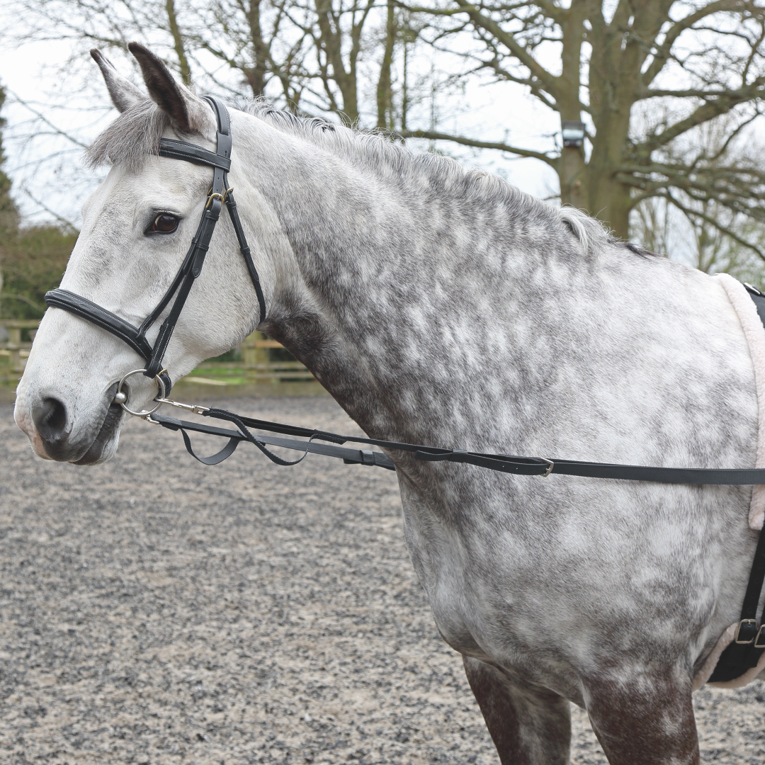 Shires Nylon Web Side Reins