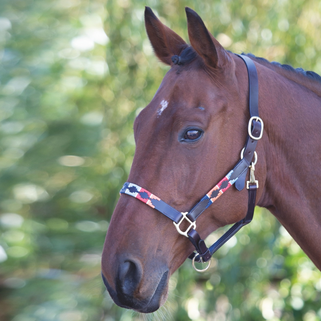 #colour_turquoise-red-orange-blue