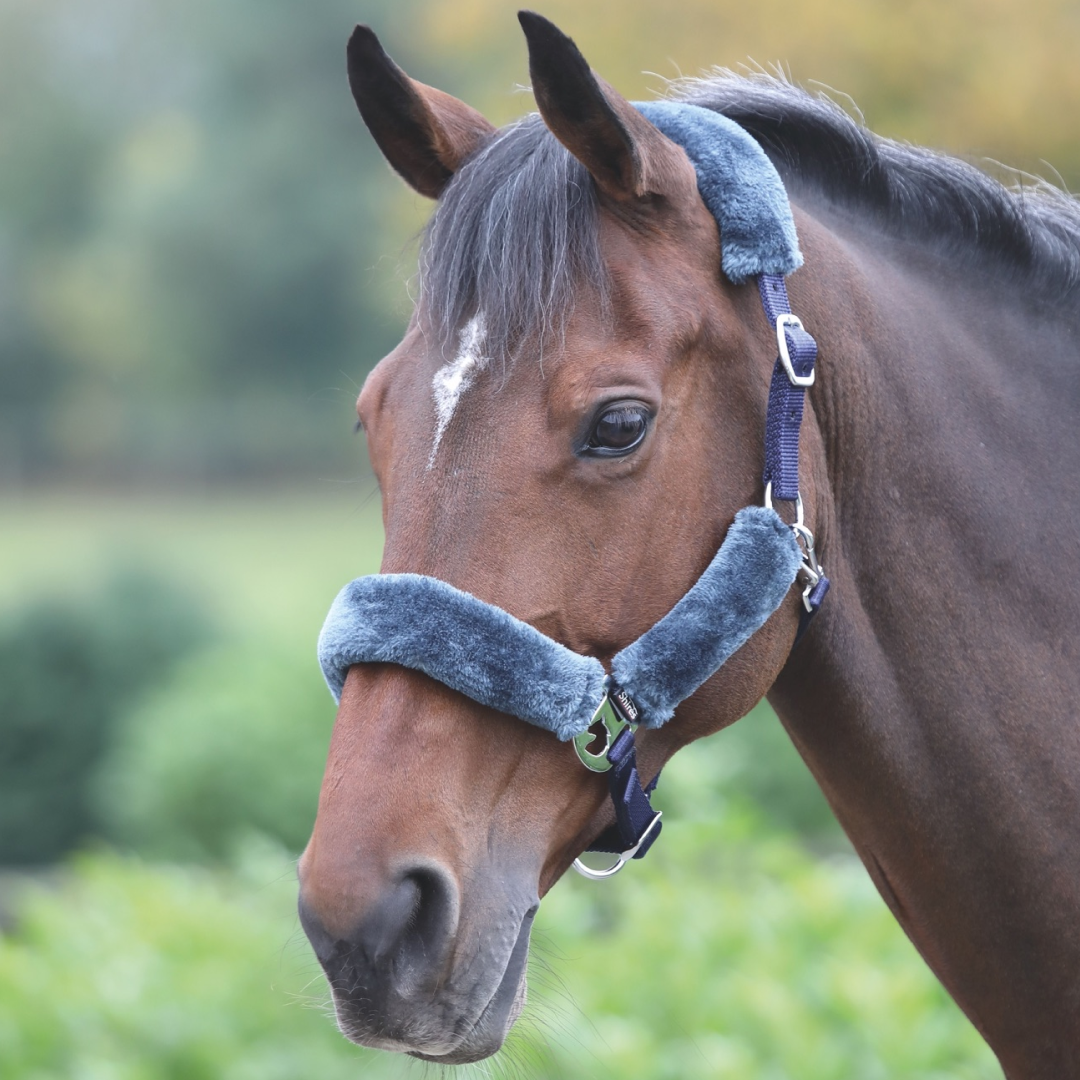Shires Fleece Lined Headcollar #colour_navy-grey