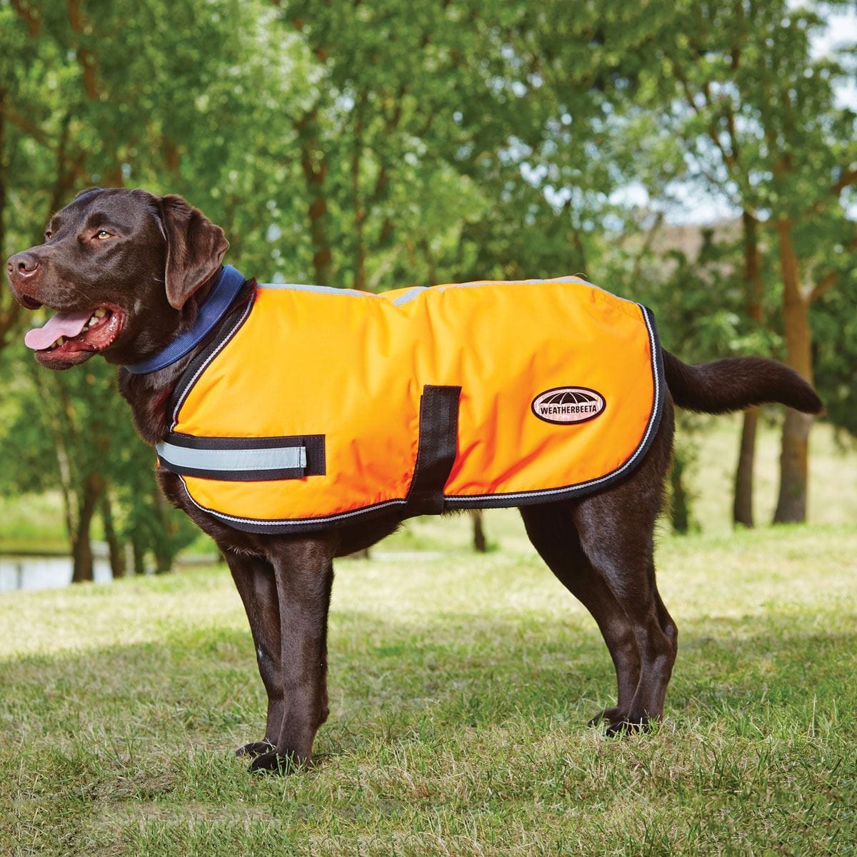 Weatherbeeta Reflective Parka 300D Dog Coat #colour_orange