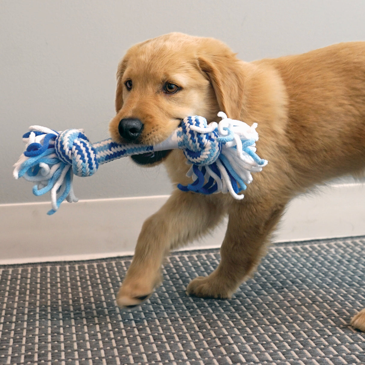 KONG Puppy Rope