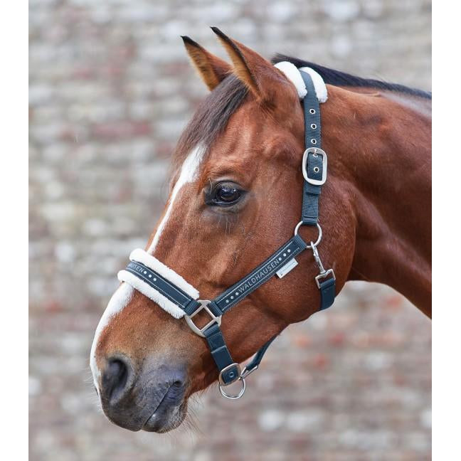 Waldhausen Elegant Halter #colour_night-blue