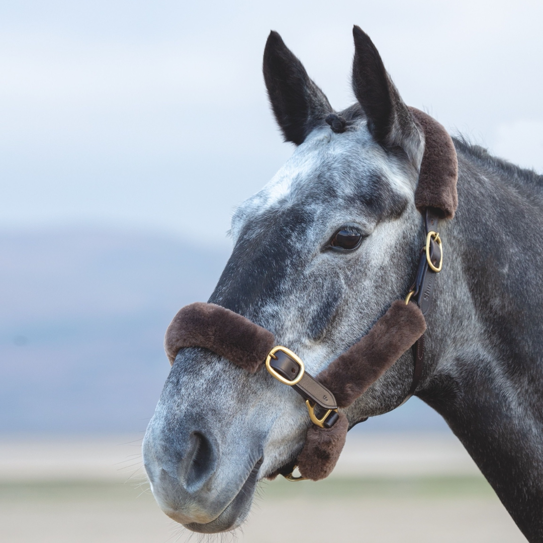 Shires ARMA SupaFleece Halter Sleeves #colour_brown