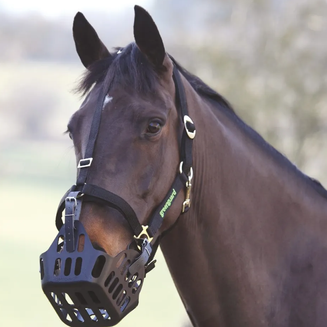Shires Greenguard Headcollar #colour_black