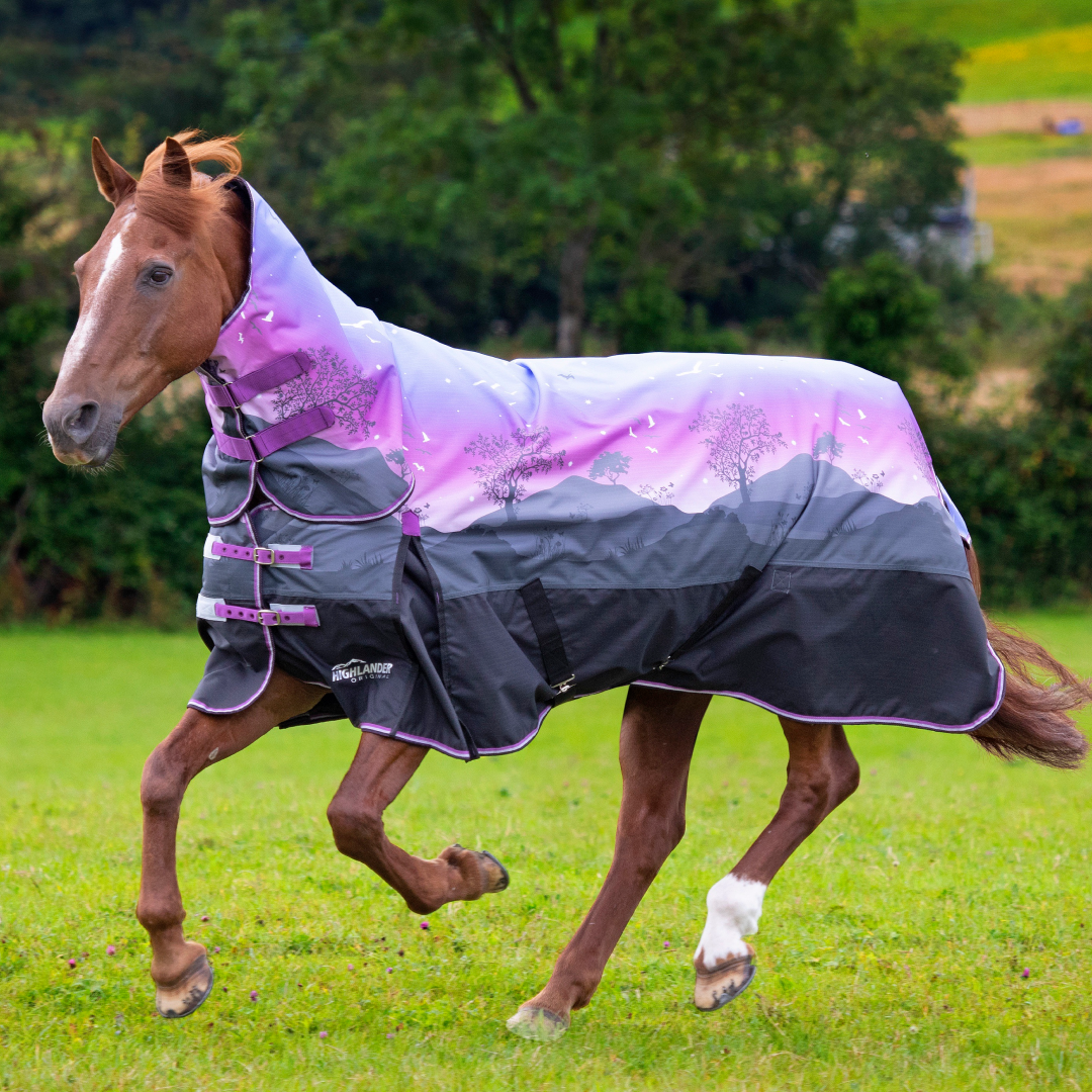 #colour_spring-morning