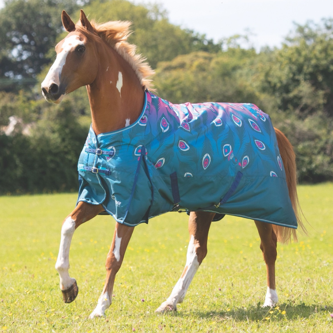 #colour_pink-peacock