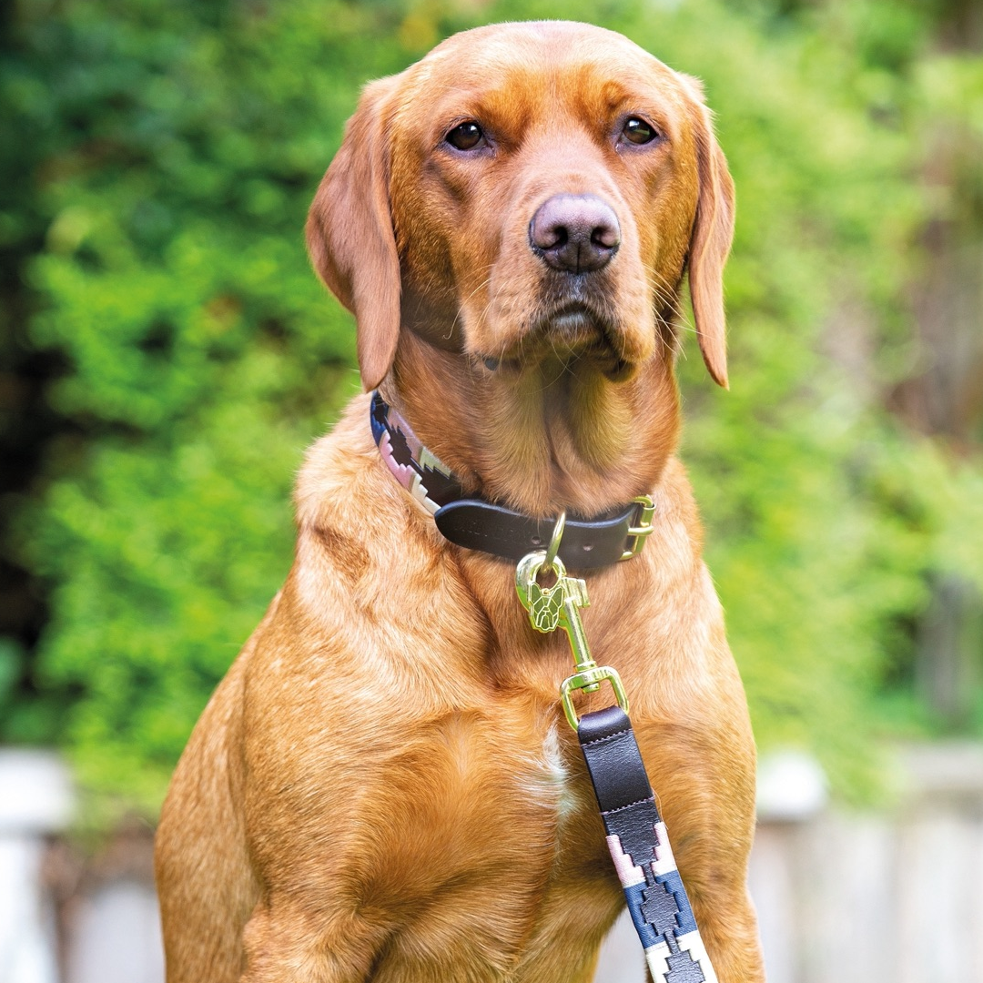 #colour_pink-natural-navy