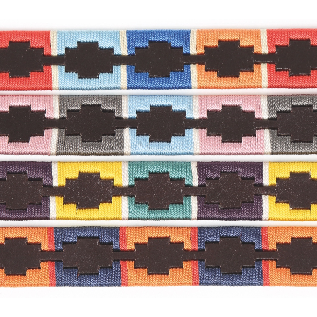 Shires Digby & Fox Drover Polo Dog Collar