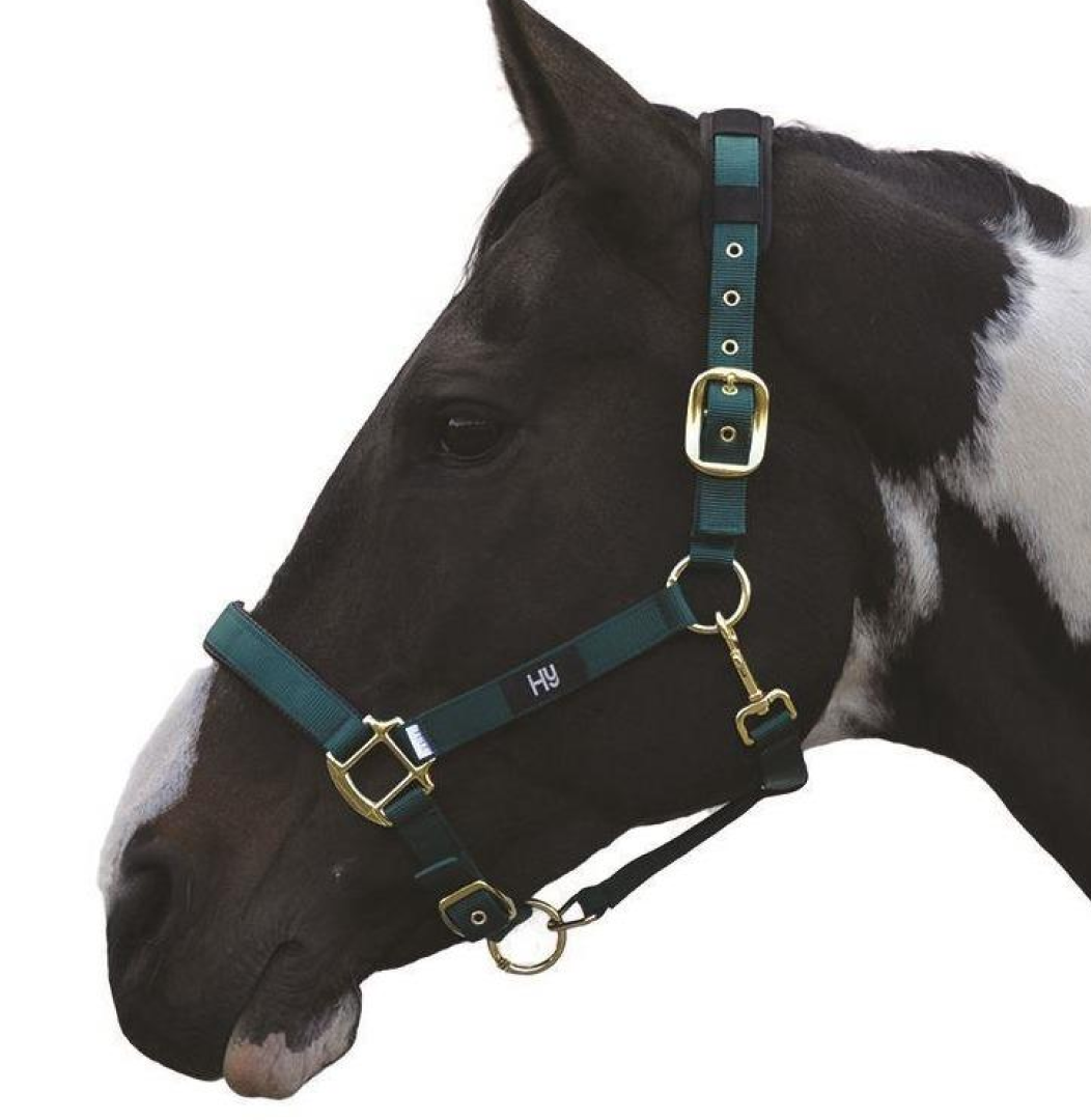 #colour_bottle-green