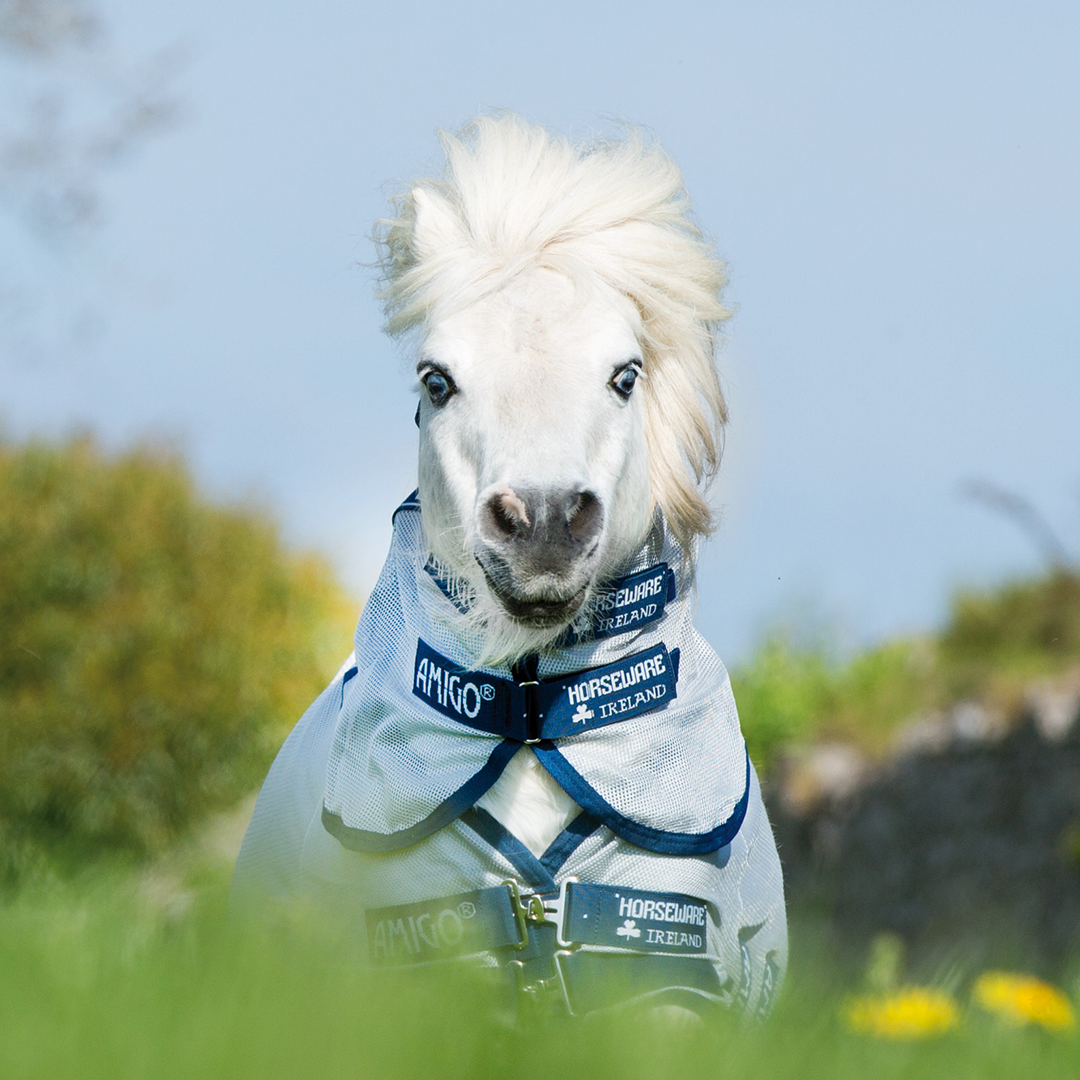 #colour_azure-blue-electric-blue-navy