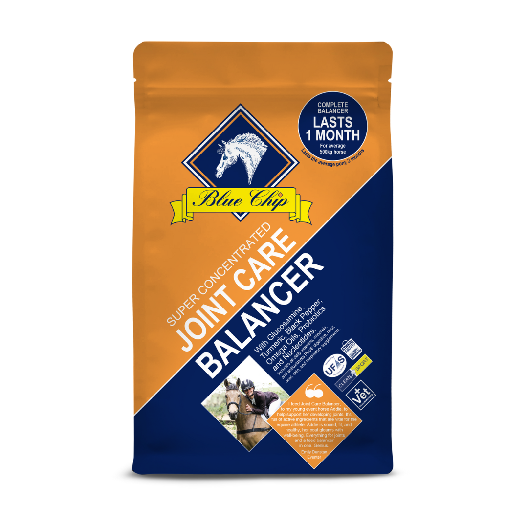 Blue Chip Super Concentrated Joint Care Balancer #size_3kg