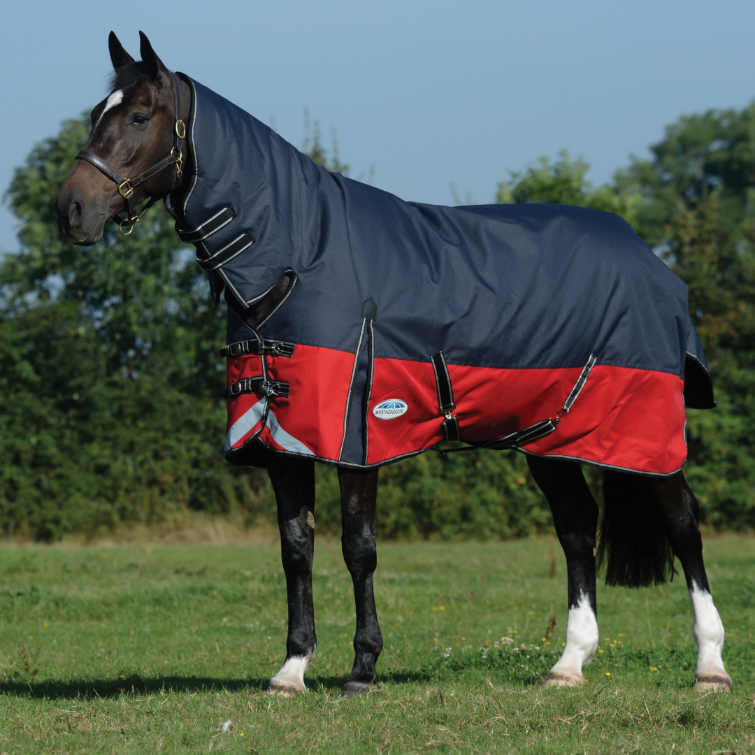 Weatherbeeta Comfitec Plus Dynamic II Combo Neck Medium #colour_black-red-silver