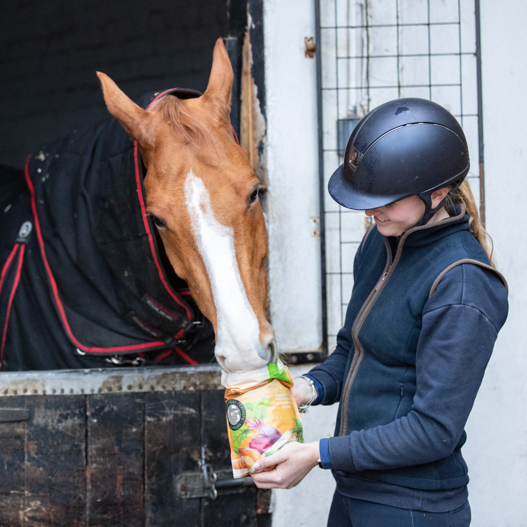 Equilibrium Simply Irresistible Virtuous Vegetables