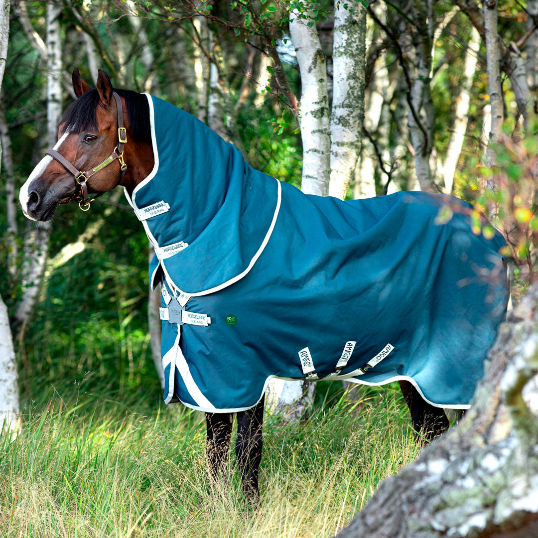 Horseware Ireland Amigo AmECO Bravo 12 Plus 100g Turnout Rug