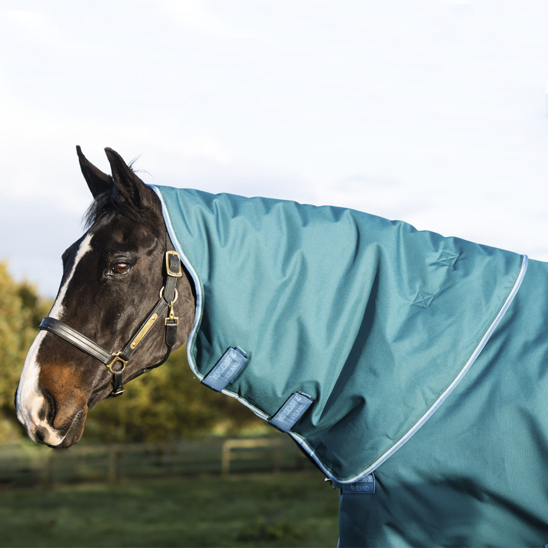 Horseware Ireland Amigo Bravo 12 Plus 400g Heavy Turnout Rug #colour_storm-green-turquoise-aqua