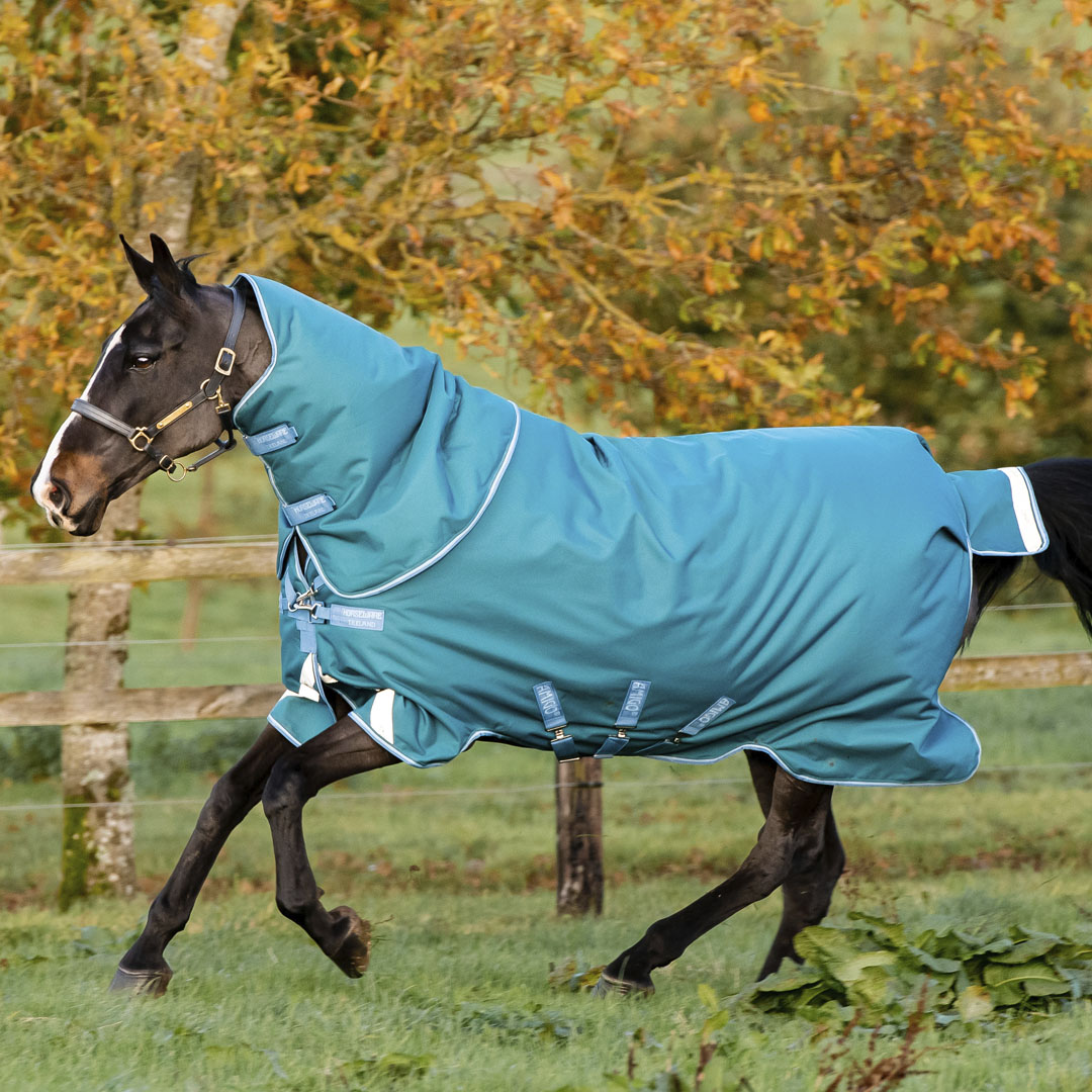 Horseware Ireland Amigo Bravo 12 Plus 400g Heavy Turnout Rug #colour_storm-green-turquoise-aqua