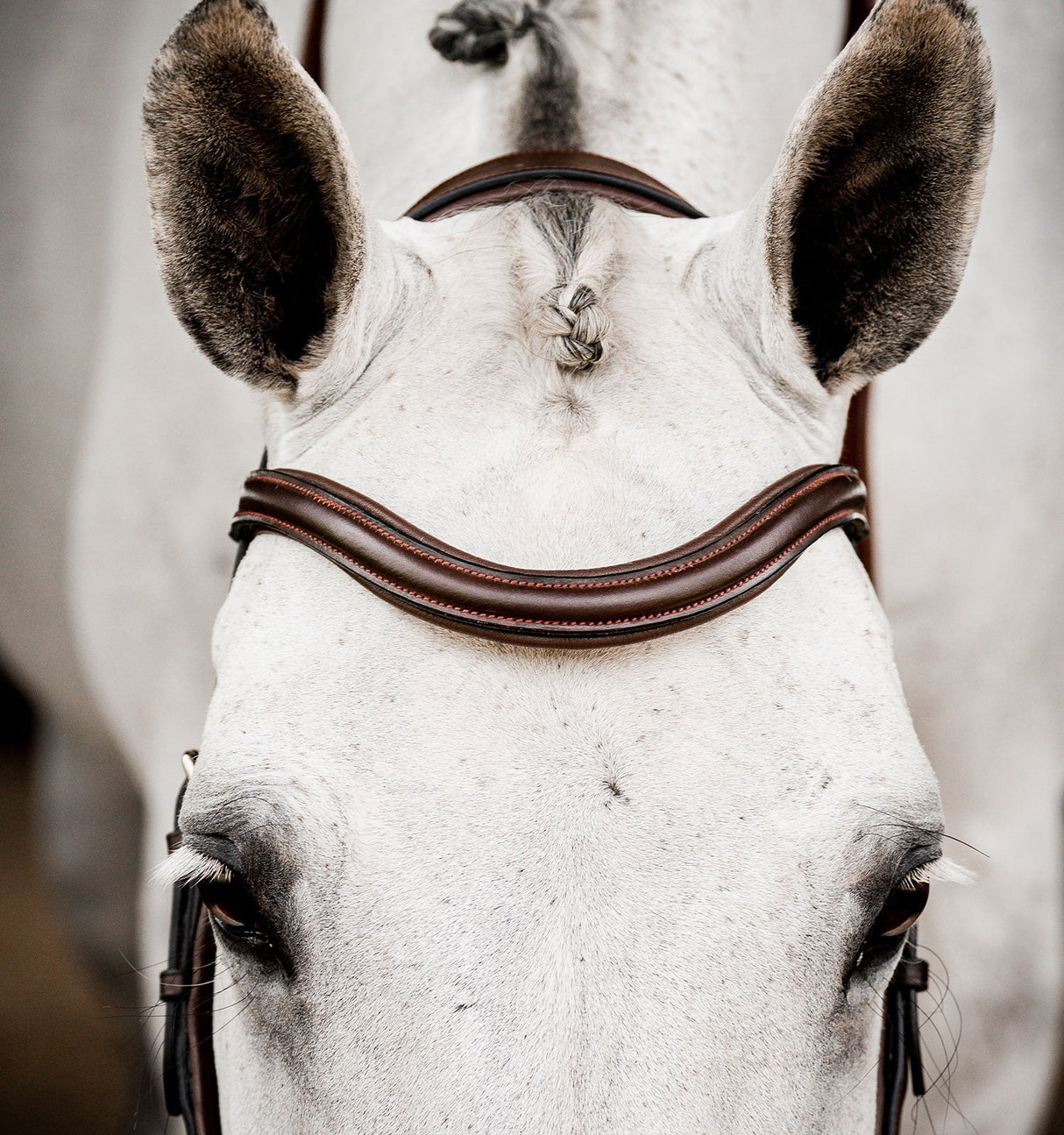 Horseware Ireland Micklem 2 Deluxe Competition Bridle #colour_dark-havana
