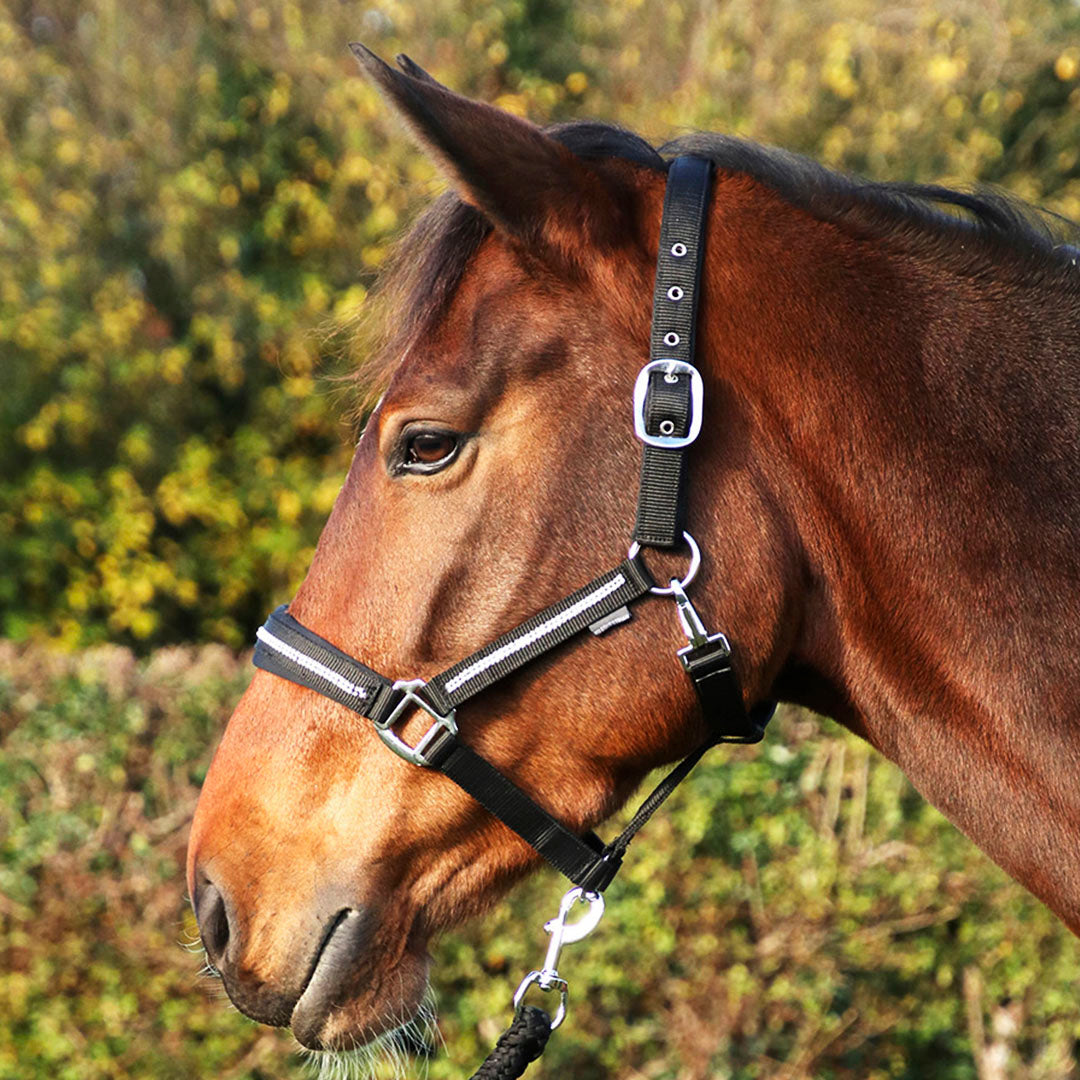 #colour_black-silver