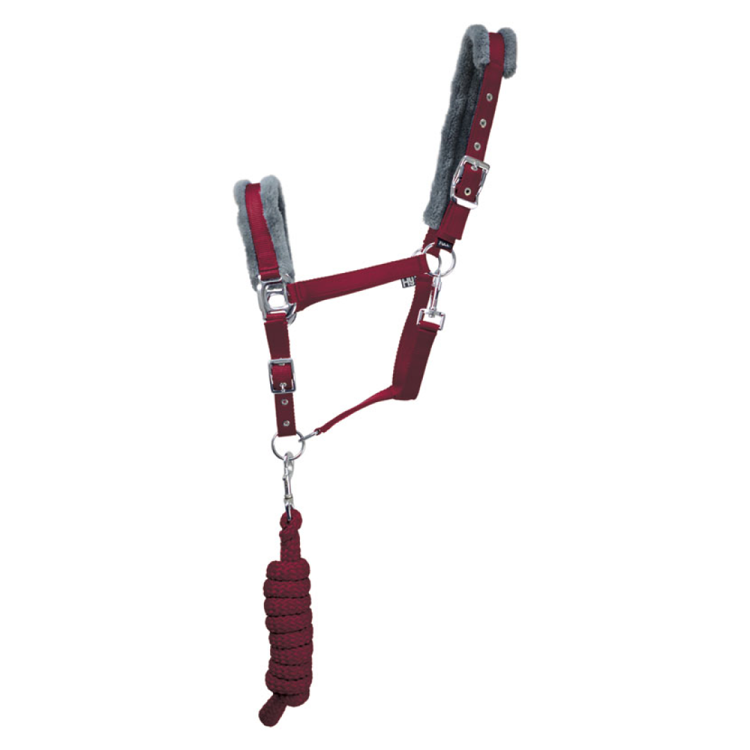 Hy Sport Active Head Collar & Lead Rope #colour_vivid-merlot