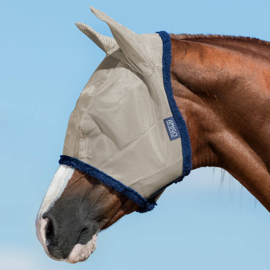 #colour_oatmeal-navy