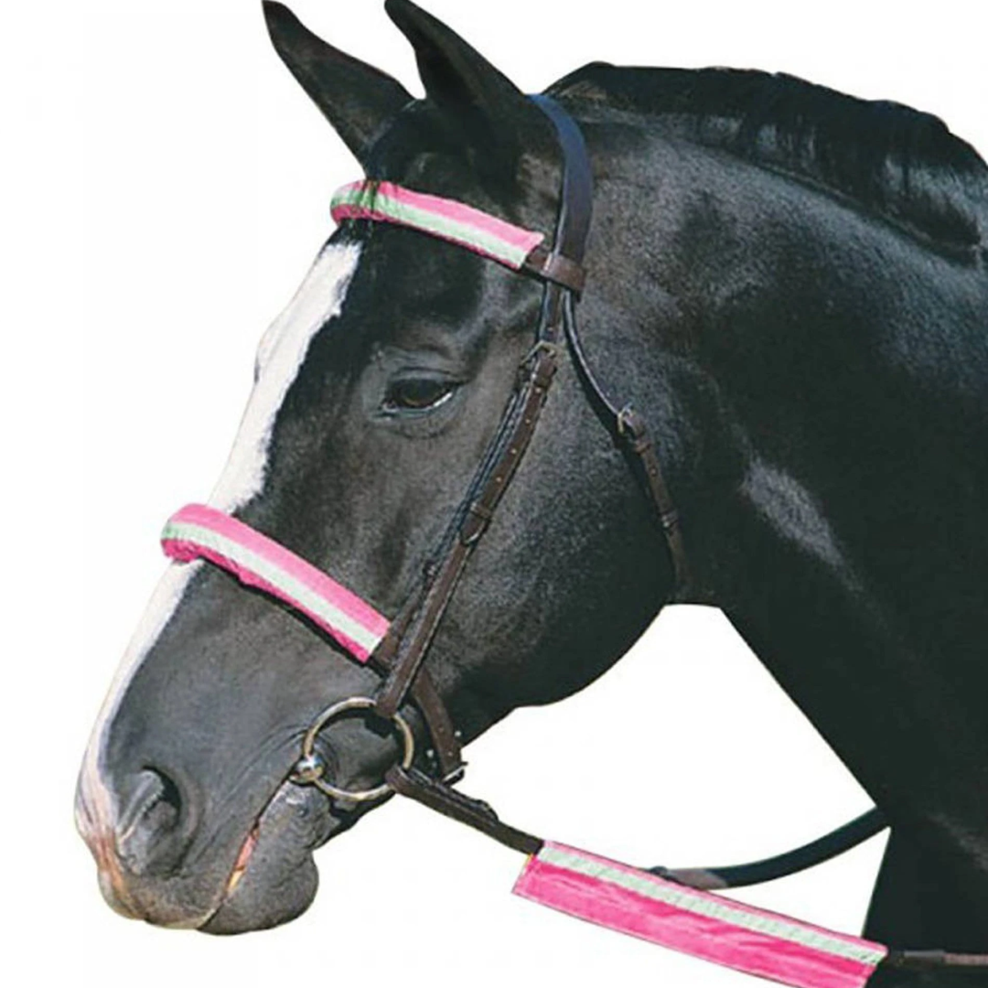 Roma Reflective Bridle Kit #colour_pink