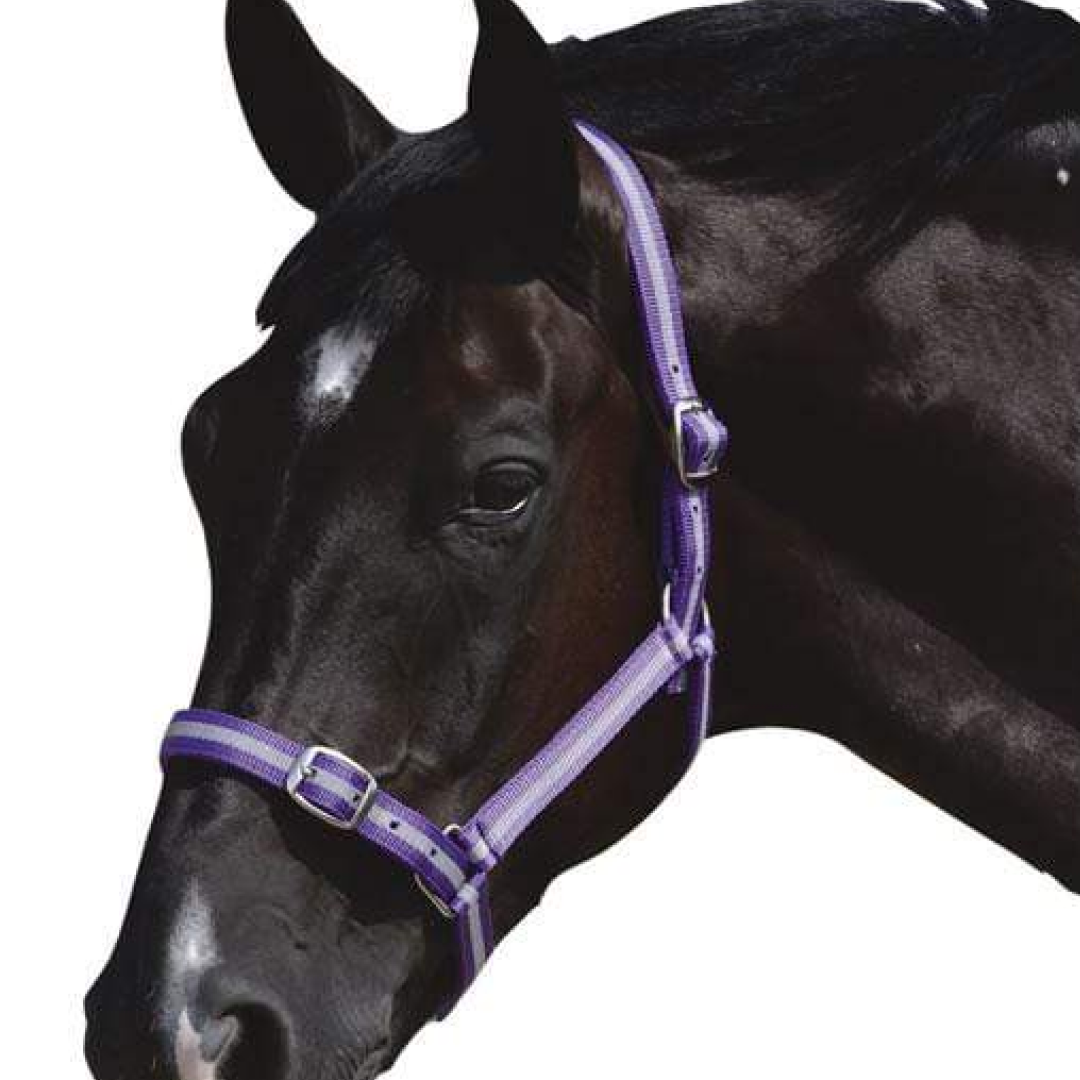 #colour_purple-silver