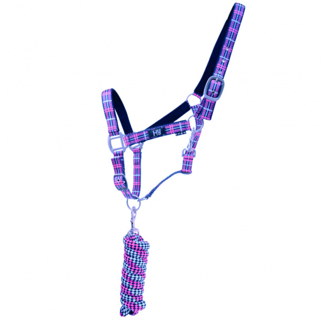 #colour_pink-navy-kingfisher-blue