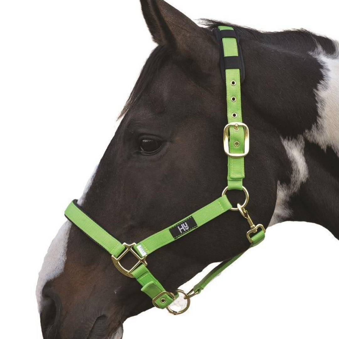 #colour_bright-green