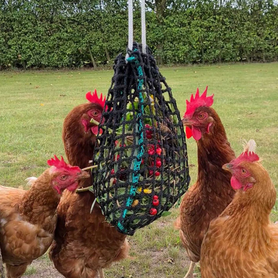 Trickle Net Chirpy Chook Meadow Net