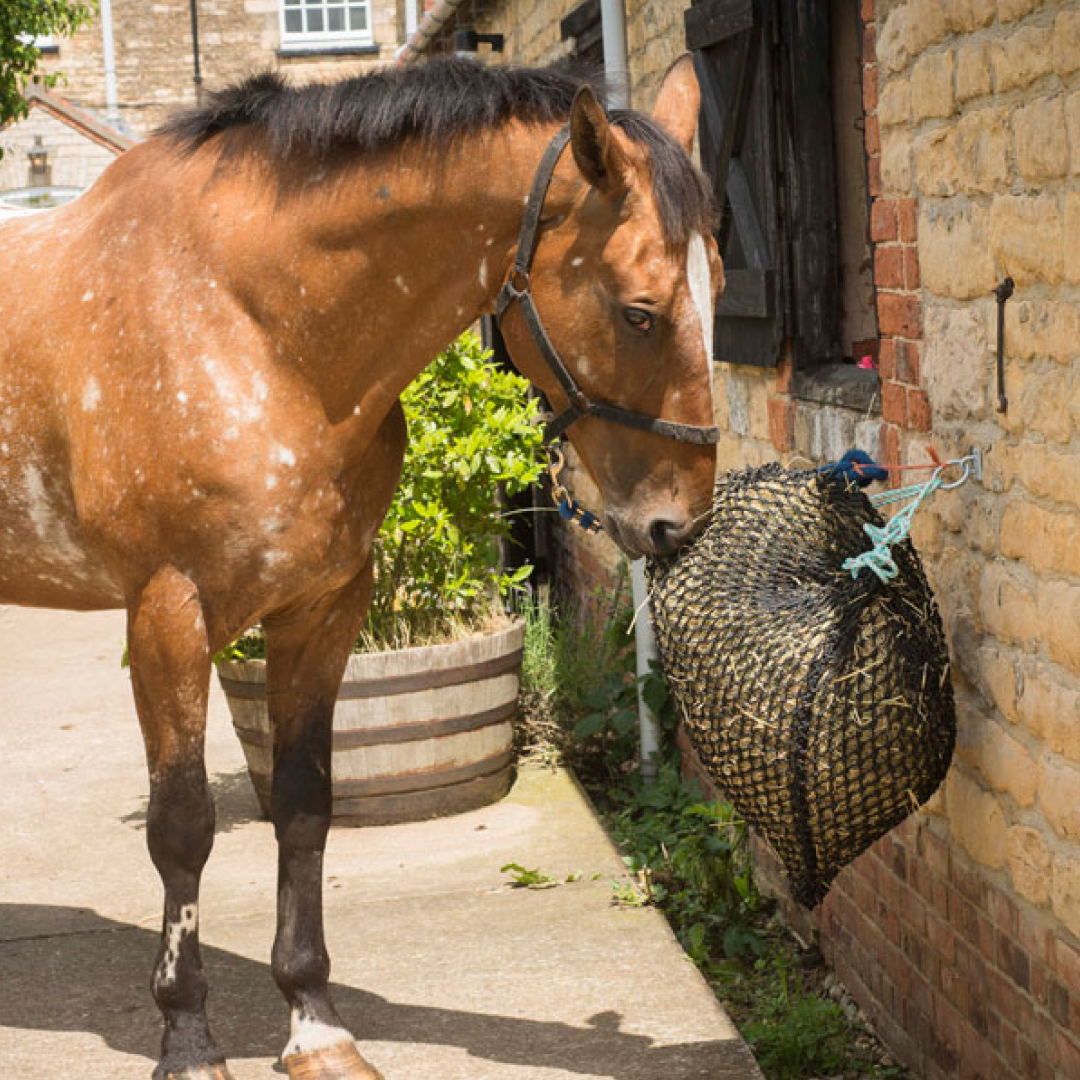 Trickle Net Original