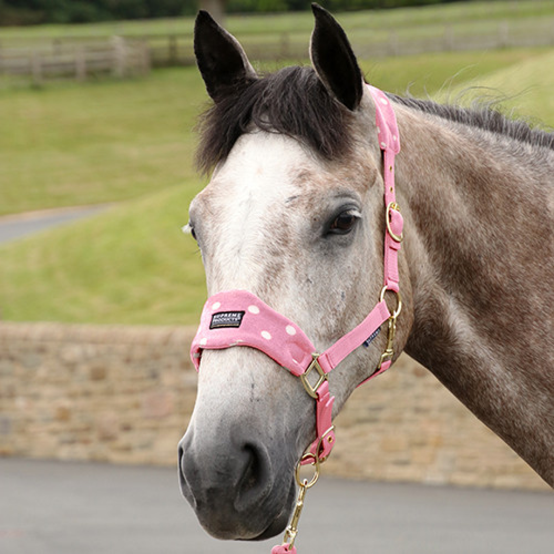 Supreme Products Dotty Fleece Head Collar & Lead Rope #colour_pretty-pink