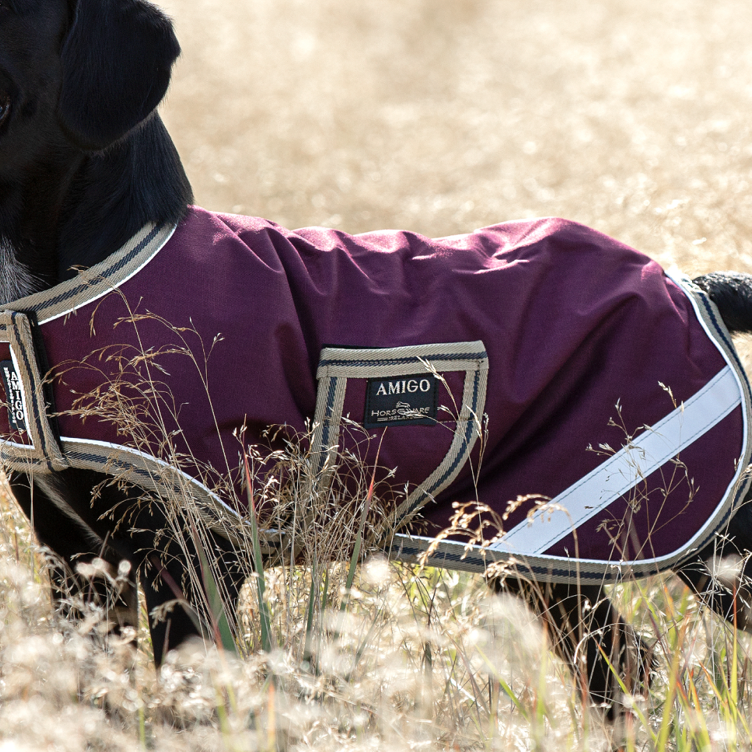 Horseware Ireland Amigo Dog Rug Ripstop #colour_fig-navy-tan