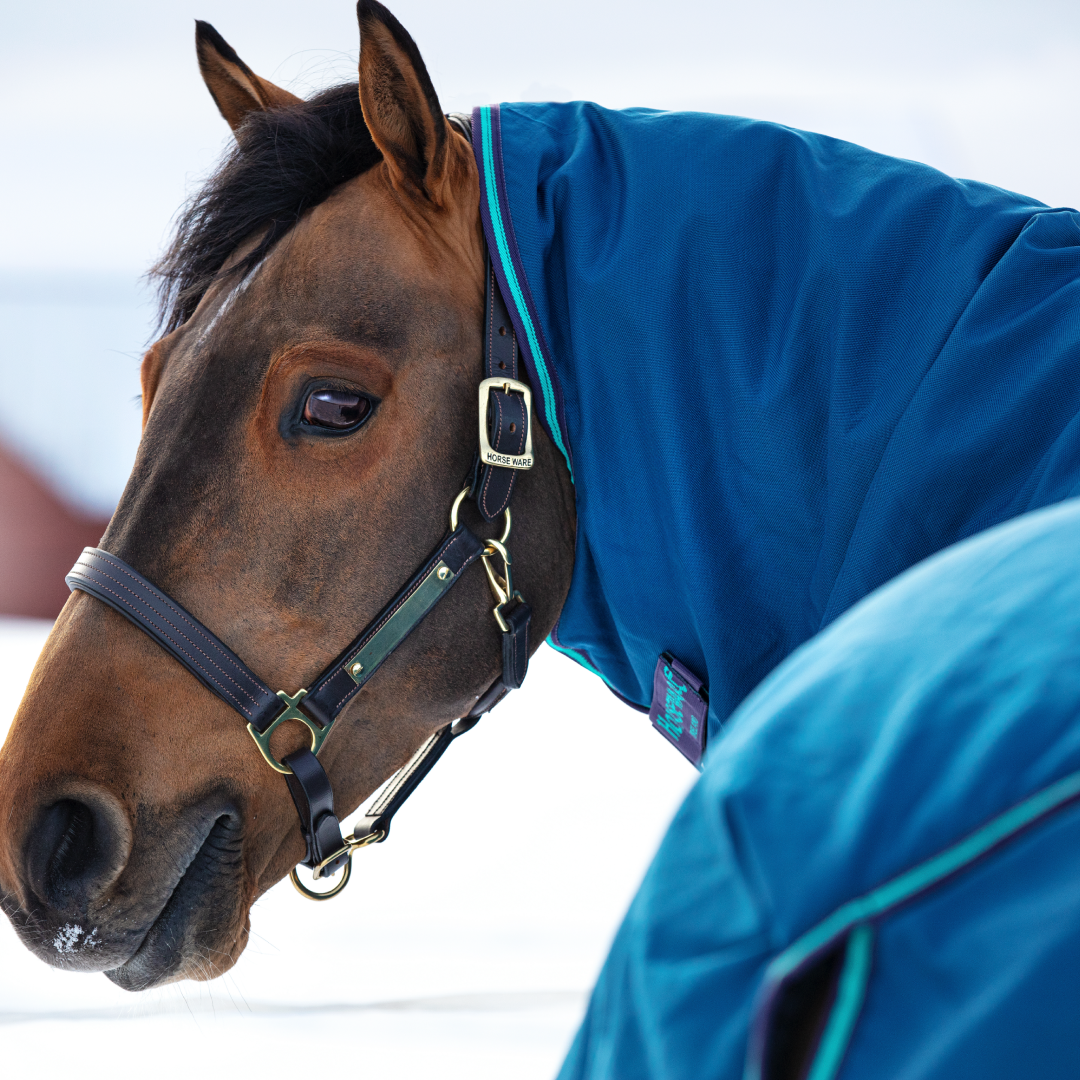 Horseware Ireland Rhino Plus Turnout Lite 100g #colour_navy-grey-aqua