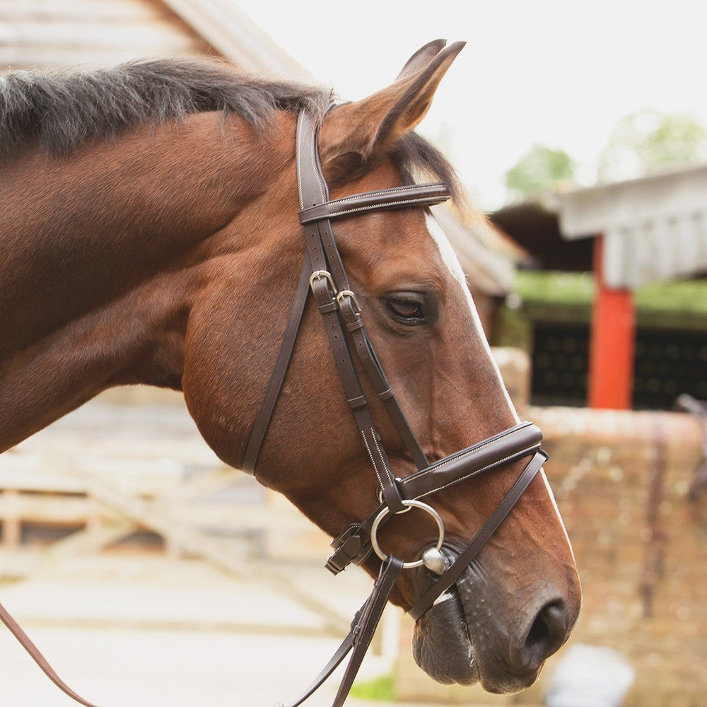 KM Elite Competition Bridle #colour_havana