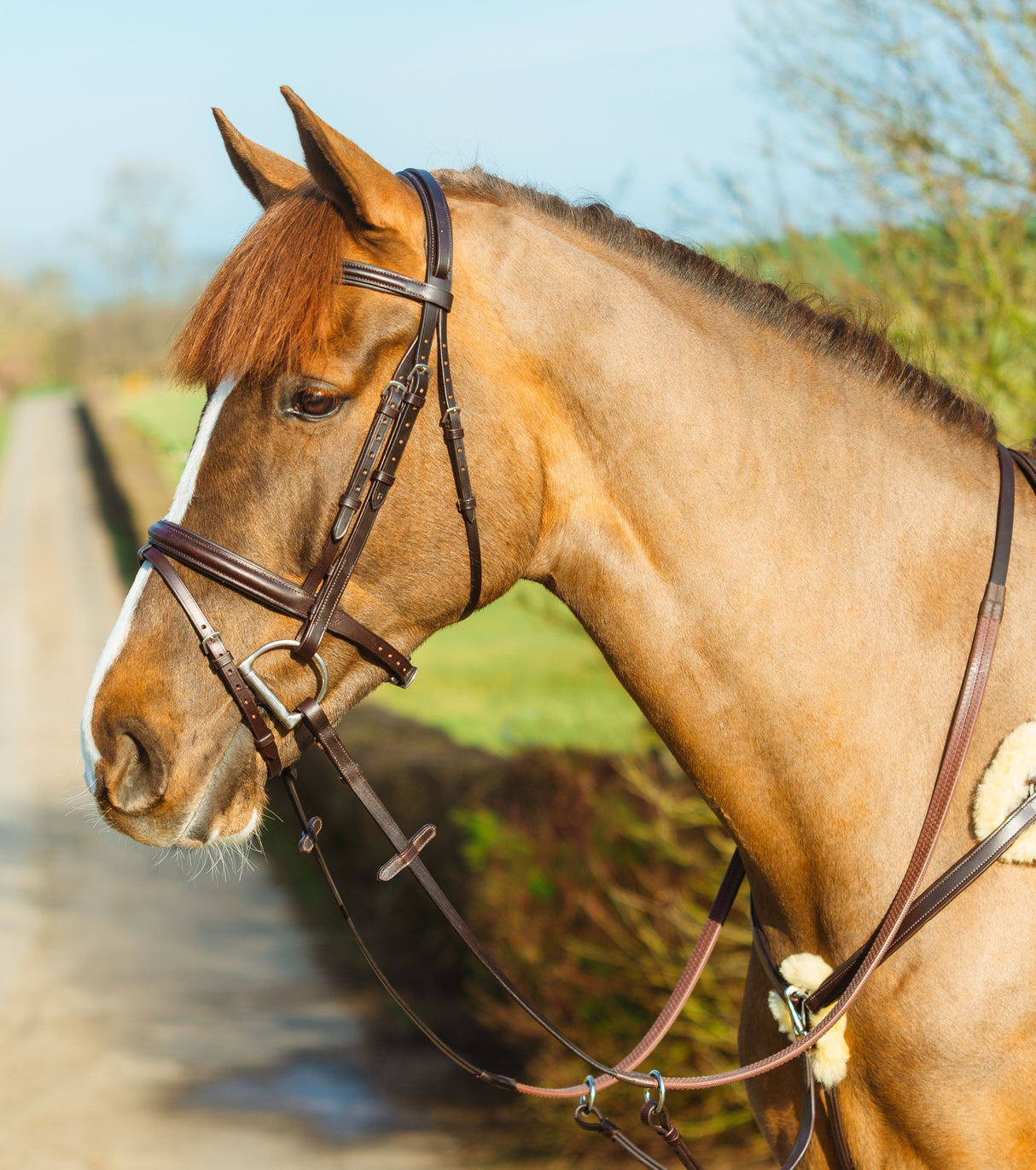 Mackey Classic Padded Flash Bridle #colour_brown
