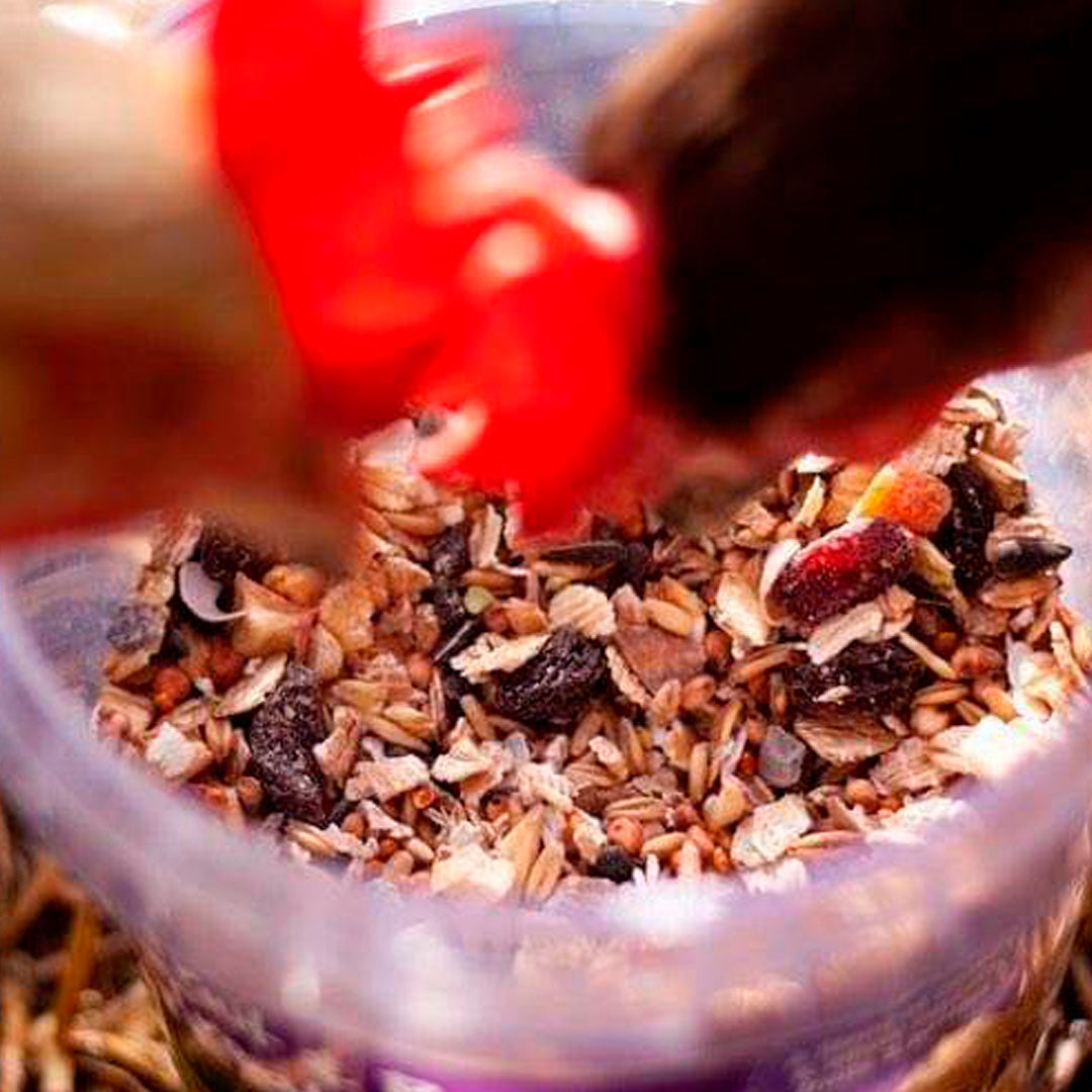 Natures Grub Fruit and Berry Poultry Treat Mix