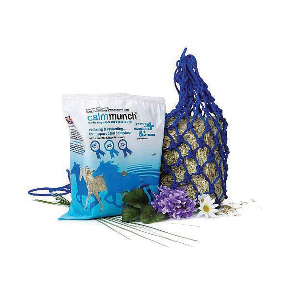 Equilibrium Calmmunch