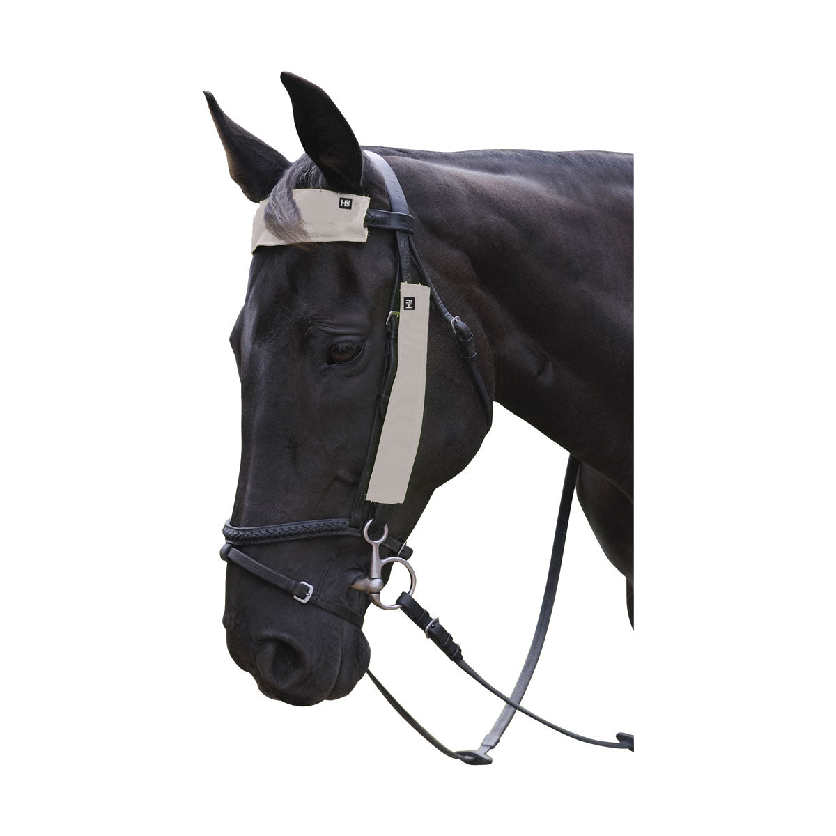 Silva Flash Reflective Bridle Set