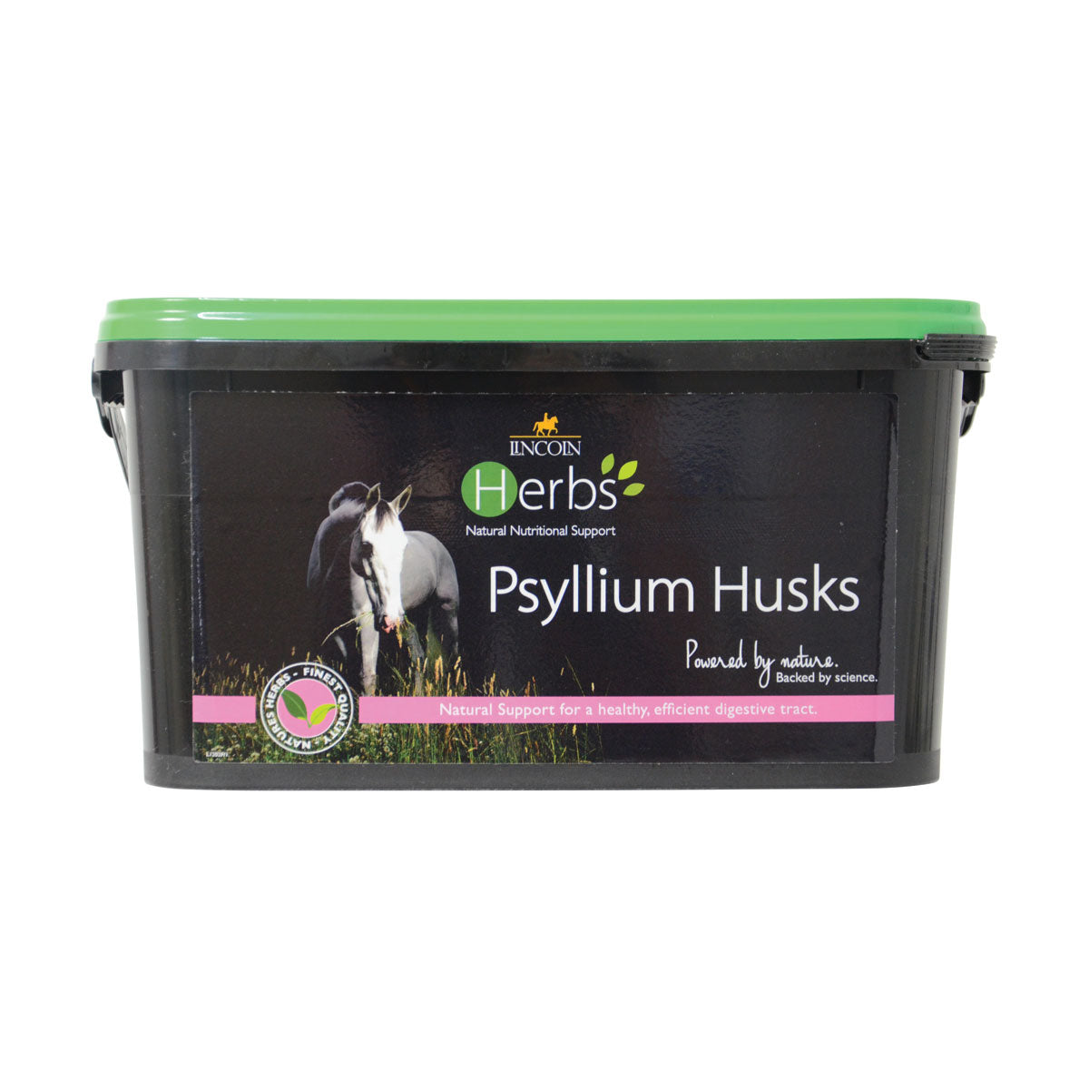 Lincoln Herbs Psyllium Husks