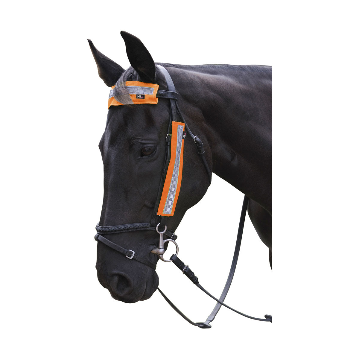HyVIZ Bridle Set