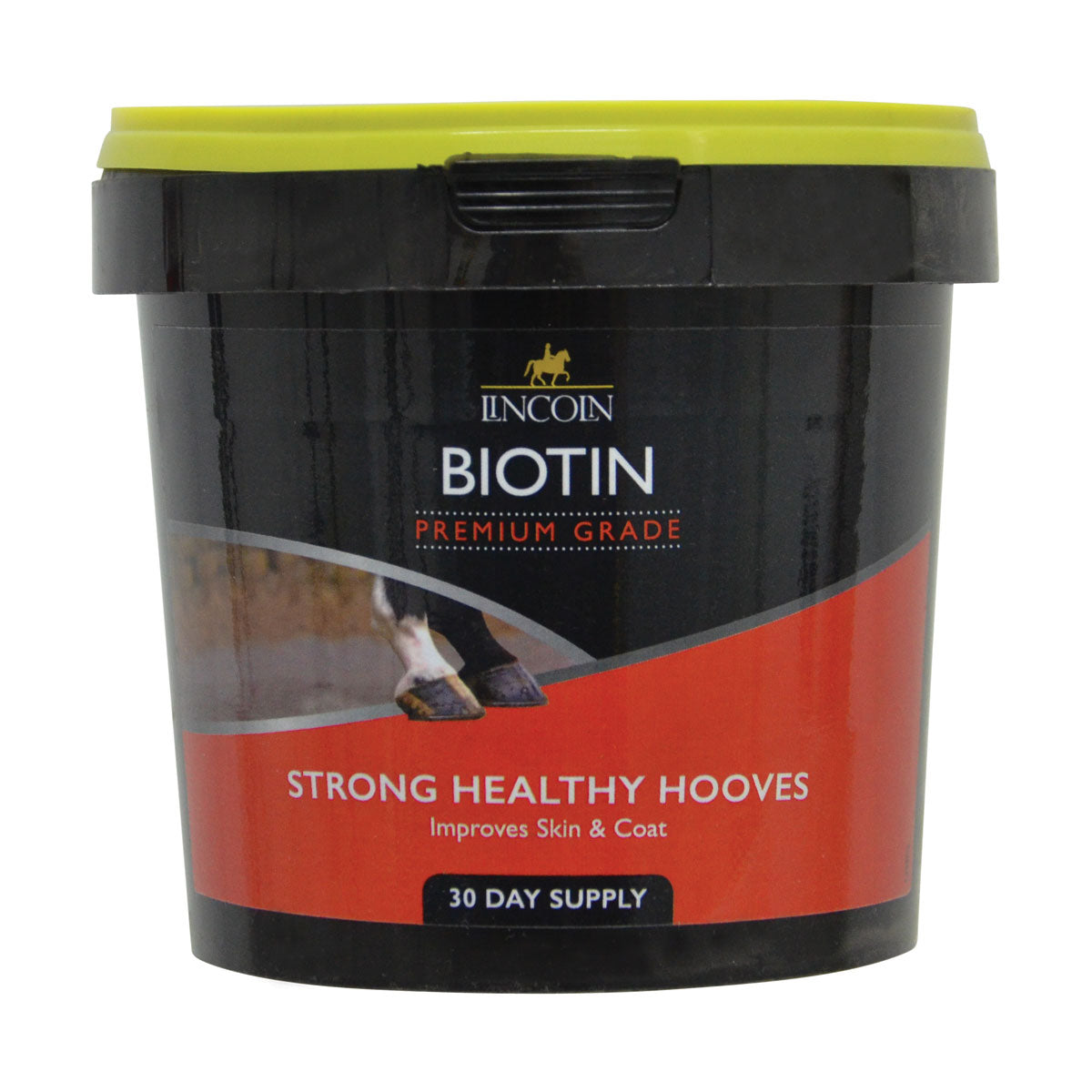 Lincoln Biotin