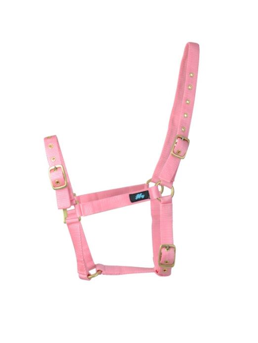 Hy Holly Fully Adjustable Head Collar
