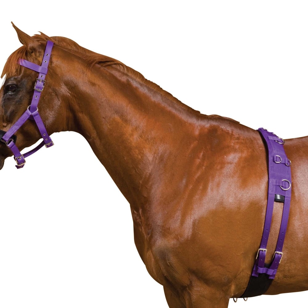 Kincade Deluxe Equigrip Lunge Roller