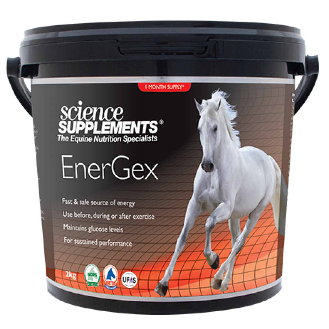 Science Supplements Energex