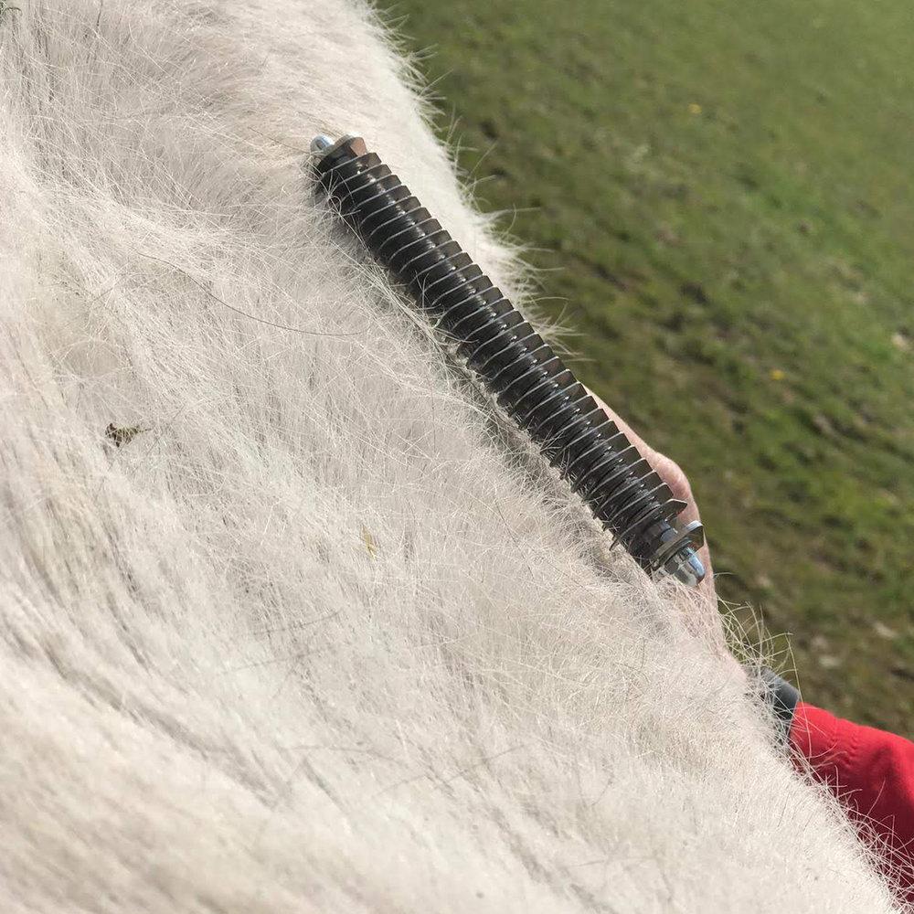 Smart Grooming Smart Coats