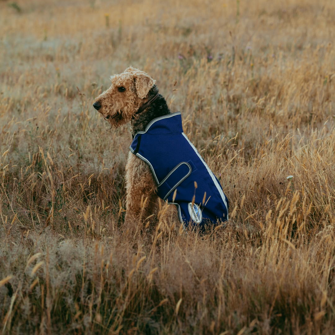 Weatherbeeta Comfitec Premier Free Duo Deluxe Parka Dog Coat #colour_dark-blue-grey-white