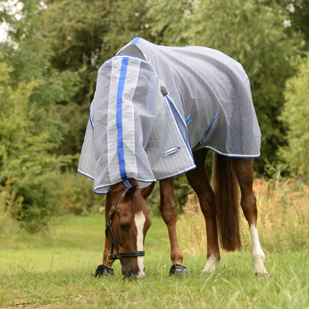 Weatherbeeta Comfitec Ripshield Plus With Ultra Belly Wrap Combo Neck